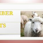 LIST OF QURBAN